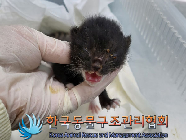 종료(자연사) 한국…